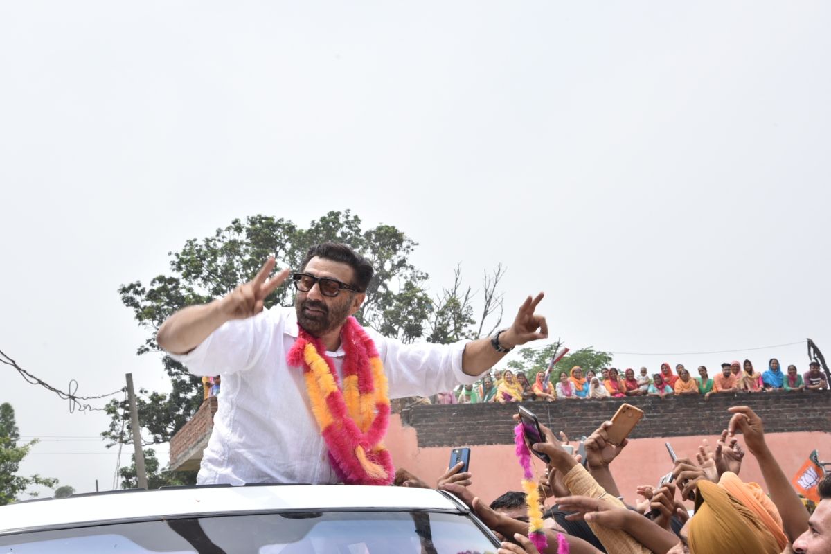 অবৈধ ফেসবুক পেজ দিয়ে ভোটের প্রচার!সানিকে জরিমানা কমিশনের