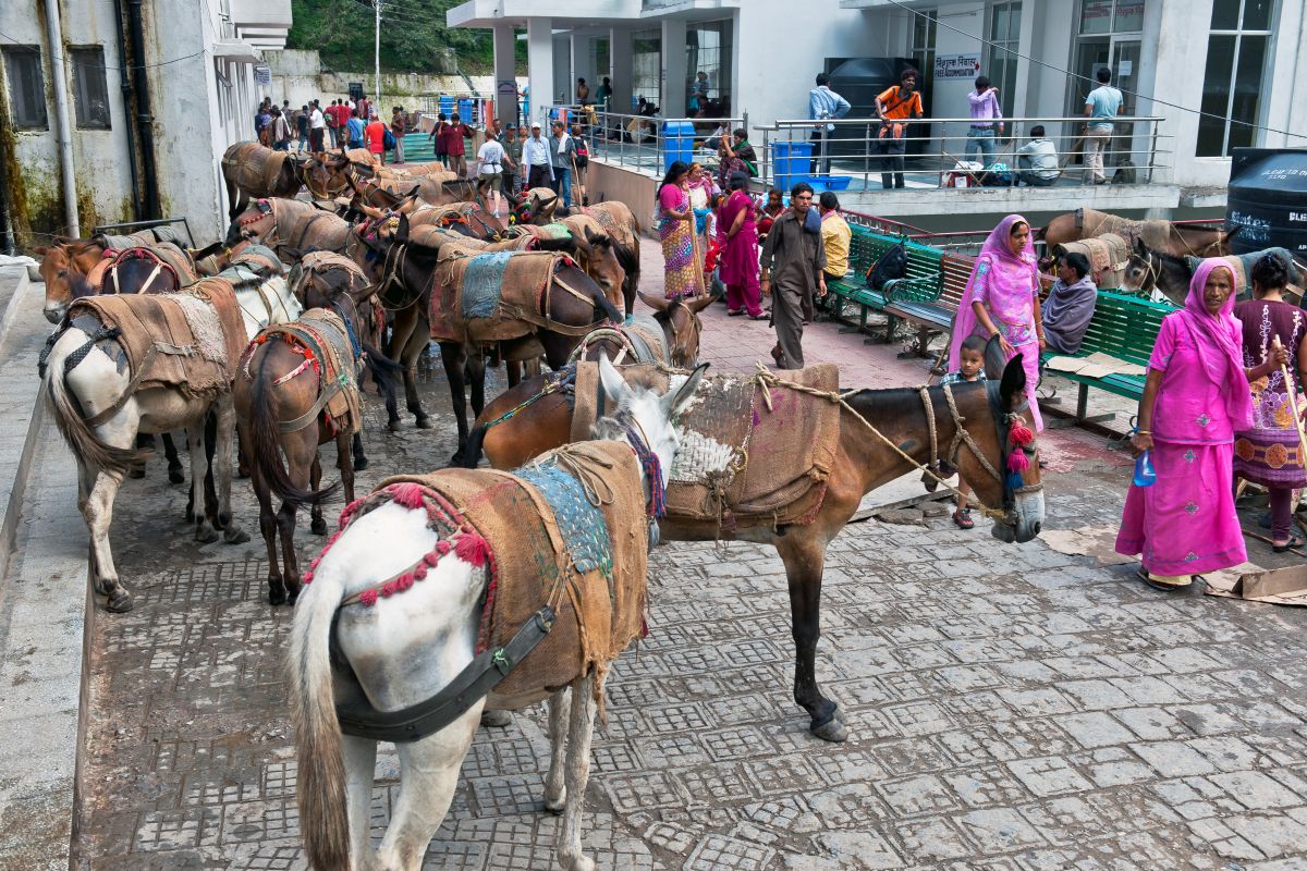 বৈষ্ণোদেবী তীর্থযাত্রীদের সুরক্ষায় হেলমেট