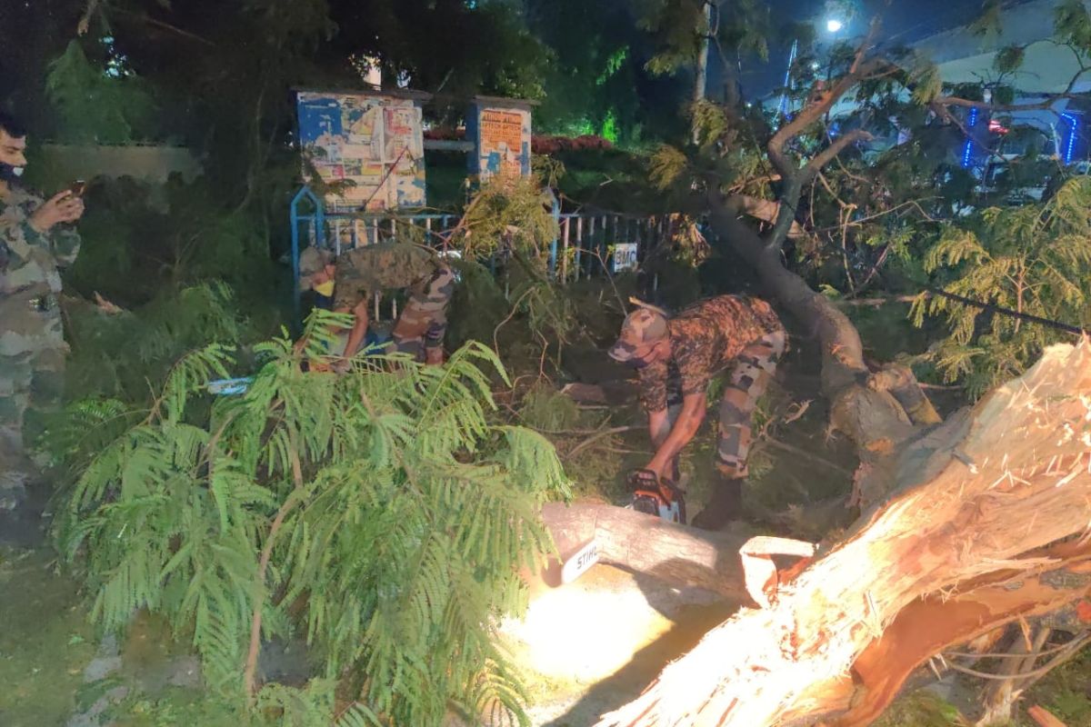 আজ কেন্দ্রীয় প্রতিনিধি দল সুন্দরবনে