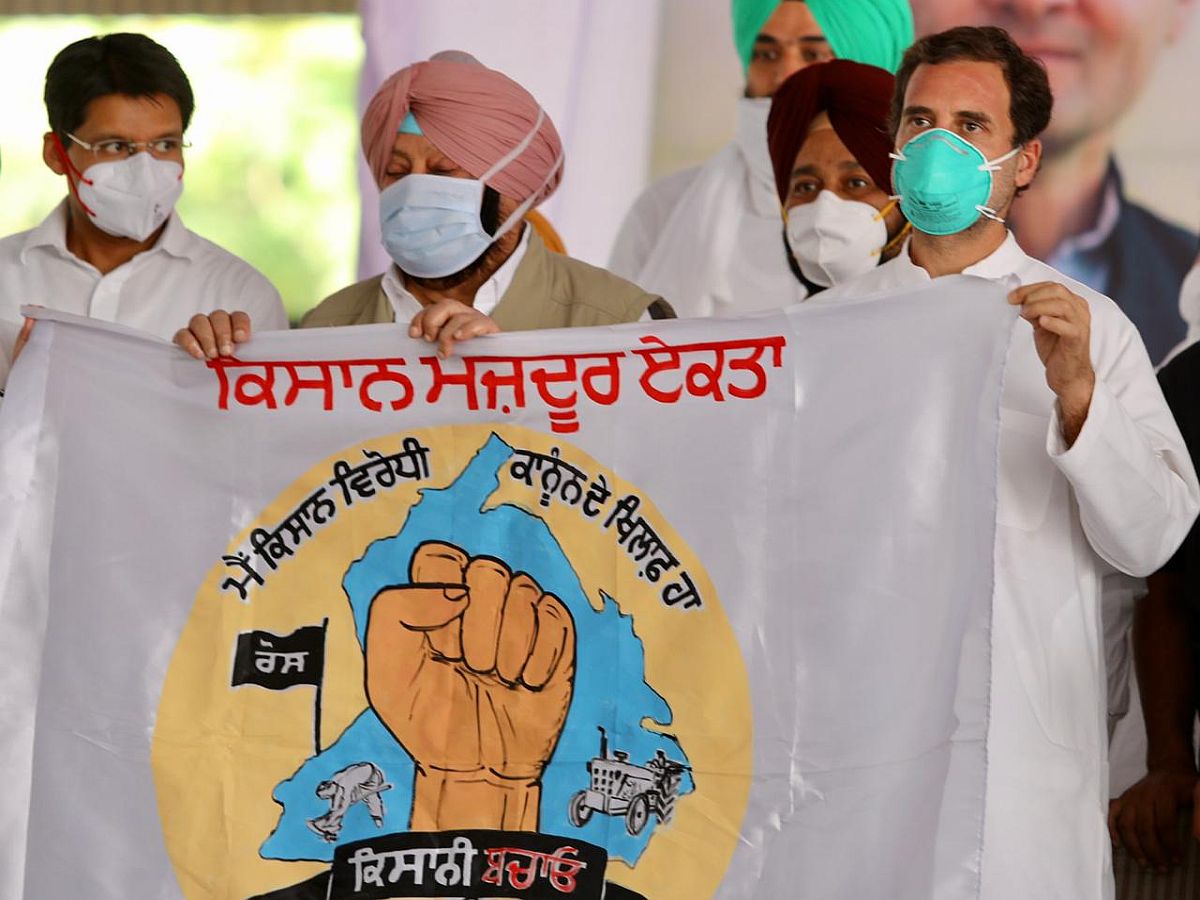 কৃষি সুরক্ষা আইনের বিরুদ্ধে লড়াই চালাবে কংগ্রেস: রাহুল