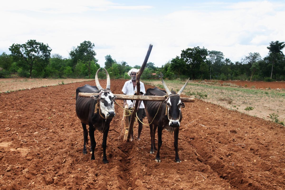 কৃষি আইন বাতিল সহ একাধিক দাবিতে আন্দোলনে বামফ্রন্ট, বালুরঘাটে জেলা শাসকের অফিসের সামনে বিক্ষোভ কর্মী সমর্থকদের