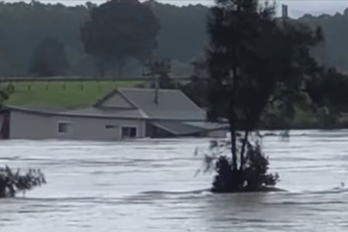 গভীর নিম্নচাপে বিধস্ত ওড়িশা, সর্বশান্ত ১০ লাখের বেশি 