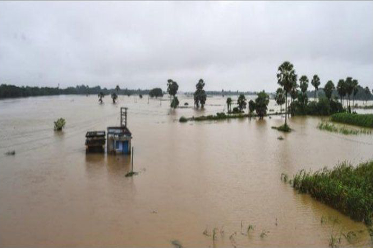 দুর্যোগের বলি ২৩