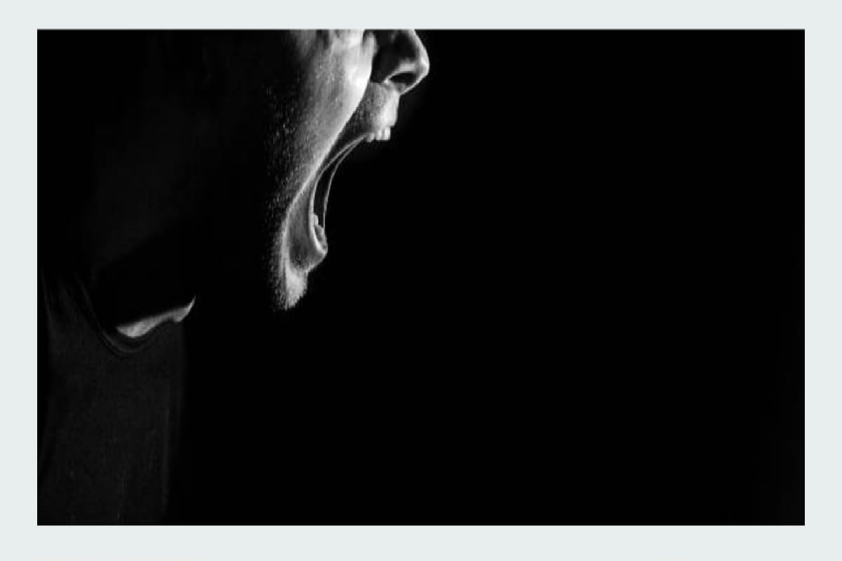 গাছের মগডালে উঠে পড়লেন মানসিক রোগী!পাভলভে হুলুস্থুল