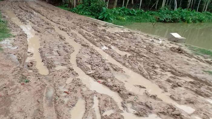 কাঁচা রাস্তায় ধানের চারা লাগিয়ে বিক্ষোভ দেখালেন এলাকার মহিলারা