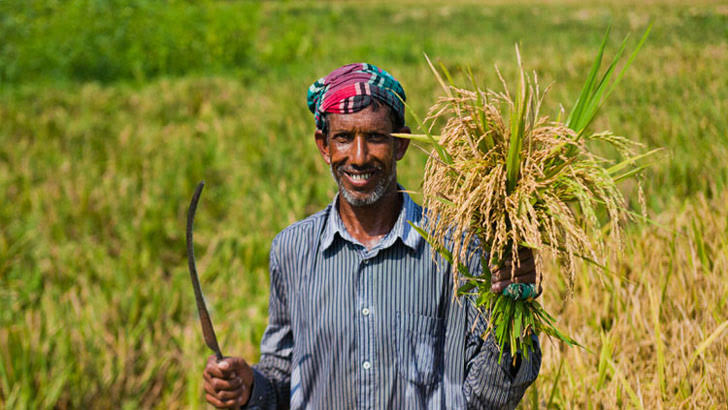 দেশে তৈরি কৃষি সরঞ্জাম রফতানি বৃদ্ধি