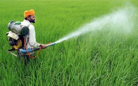 ধান শস্য বাঁচাতে ট্ৰায়ন