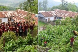 জন্মদিনকে সামনে রেখে চারাগাছ রোপণের মাধ্যমে সবুজায়নের বার্তা দিলেন শিক্ষক