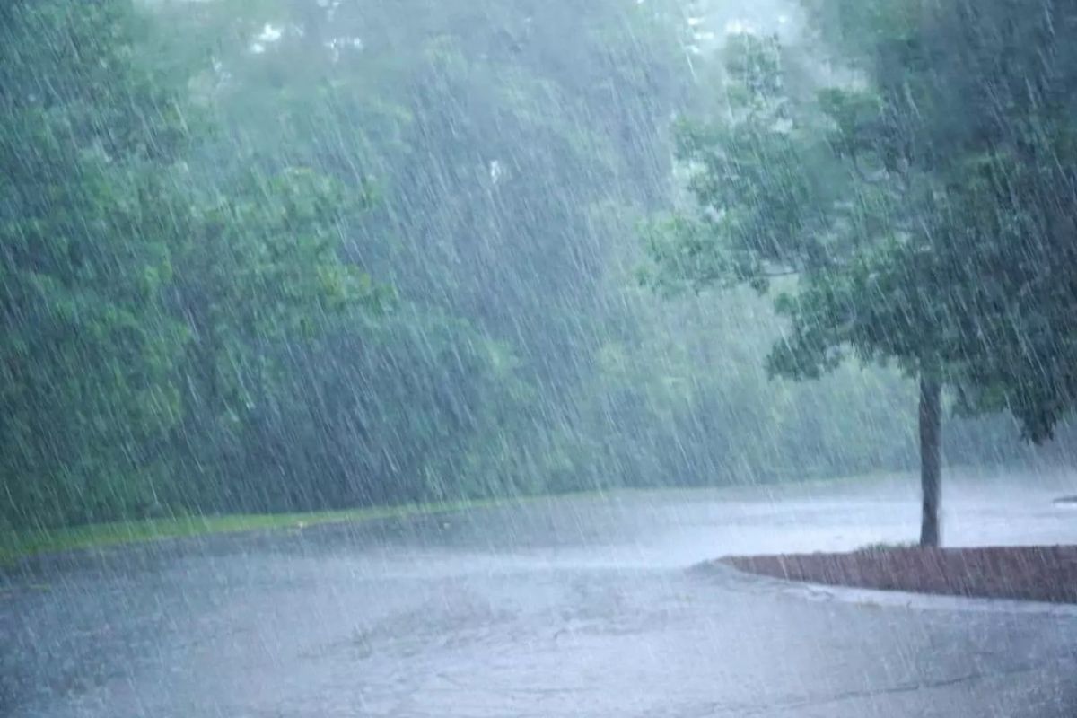  আগামী চার দিন ভারী বৃষ্টির সম্ভাবনা রয়েছে  দক্ষিণবঙ্গ ও উত্তরবঙ্গে 