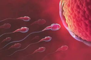 পশ্চিমবঙ্গের ৮৬% পুরুষ বন্ধ্যত্বের শিকার, বলছে সমীক্ষা 