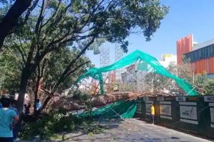 চলন্ত বাইকের উপর ভেঙে পড়ল মেট্রোর স্তম্ভ, মা এবং ছেলের চরম পরিণতি, জখম বাবা, মেয়ে