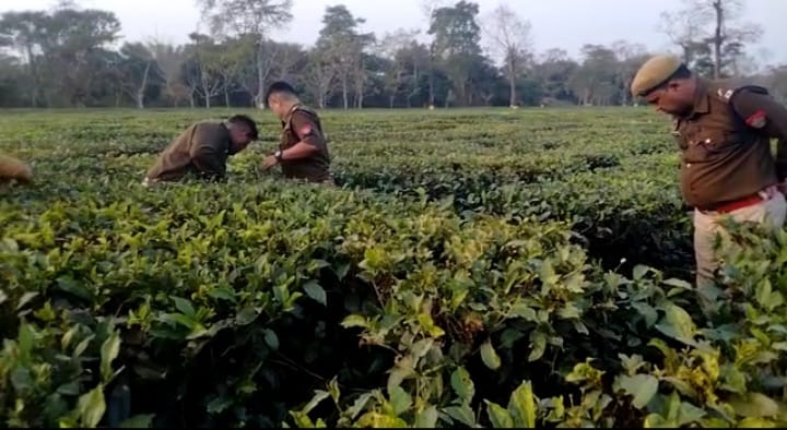 অসমের চা বাগান থেকে অচেতন অবস্থায় ৩ দিন পর উদ্ধার কিশোরী , গনধর্ষনের অভিযোগে গ্রেফতার ২