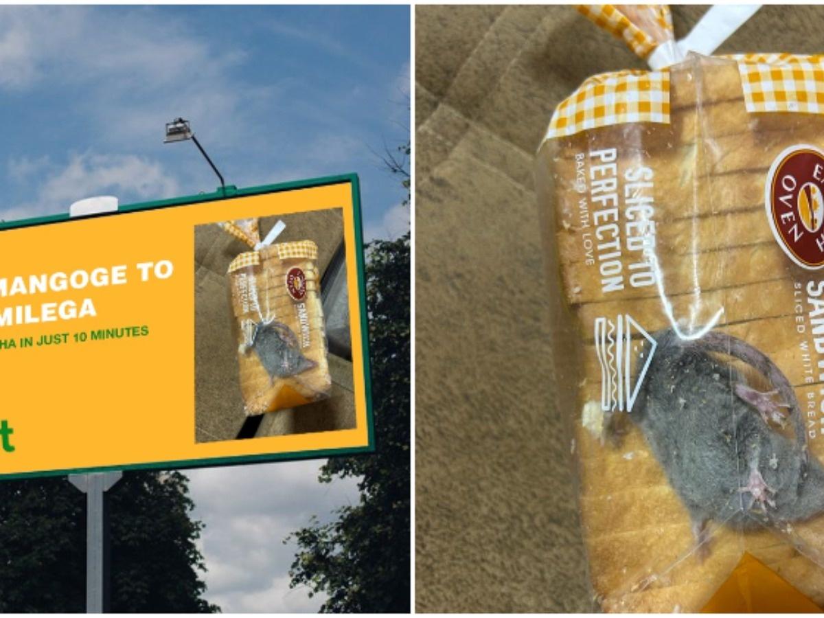 অর্ডার করলেন পাউরুটি, ডেলিভারি পেলেন জ্যান্ত ইঁদুর