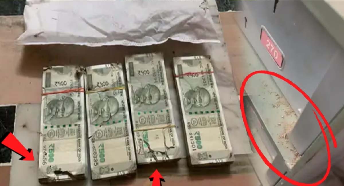 ব্যাঙ্কের লকারেই সিঁধ কাটল উইপোকা, সাবাড় লক্ষ-লক্ষ টাকা 