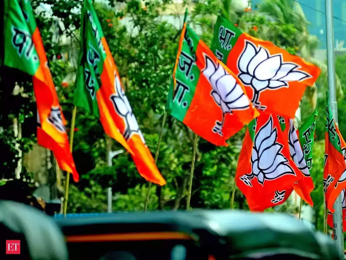 ‘হিন্দু রাষ্ট্র’র প্রথম জেলা উত্তর-পূর্ব দিল্লি, ঘোষণা গেরুয়া সংগঠনের