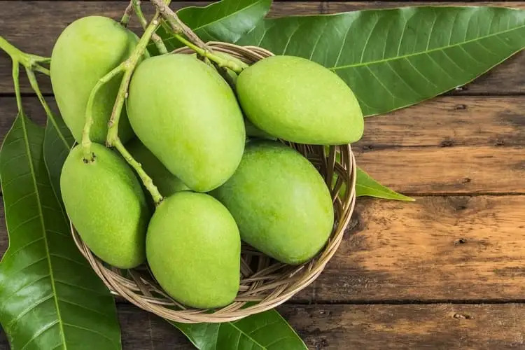 জেনে নিন হাজারো গুণে ভরপুর কাঁচা আম এর গুণাগুণ।