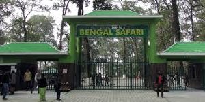 শিলিগুড়ির বেঙ্গল সাফারিতে এবার দেখা মিলবে আফ্রিকান সিংহের।