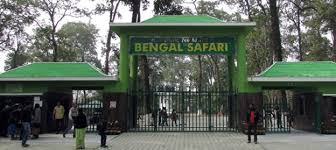 শিলিগুড়ির বেঙ্গল সাফারিতে এবার দেখা মিলবে আফ্রিকান সিংহের।