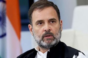 ওয়েনাডের বদলে হিন্দি বলয় থেকে লড়তে পারেন রাহুল , ইঙ্গিত দিল কংগ্রেস 