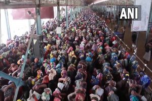 শবরীমালা মন্দিরে দীর্ঘ সারিতে দাঁড়িয়ে মর্মান্তিক মৃত্যু কিশোরীর