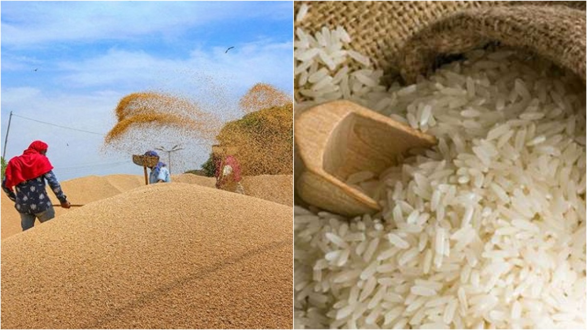 চালের দাম নিয়ন্ত্রণ করতে সরাসরি খোলা বাজারে বিক্রির সিদ্ধান্ত কেন্দ্রের 