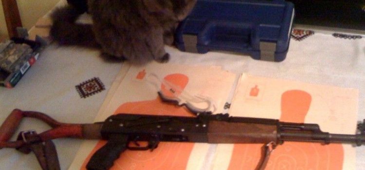 ইরানে পরিবারের ১২ জনকে গুলি করে খুন করল যুবক