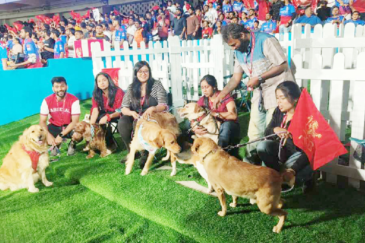 কুকুর নিয়ে মাঠে যাওয়ার অনুমতি বিরাটের