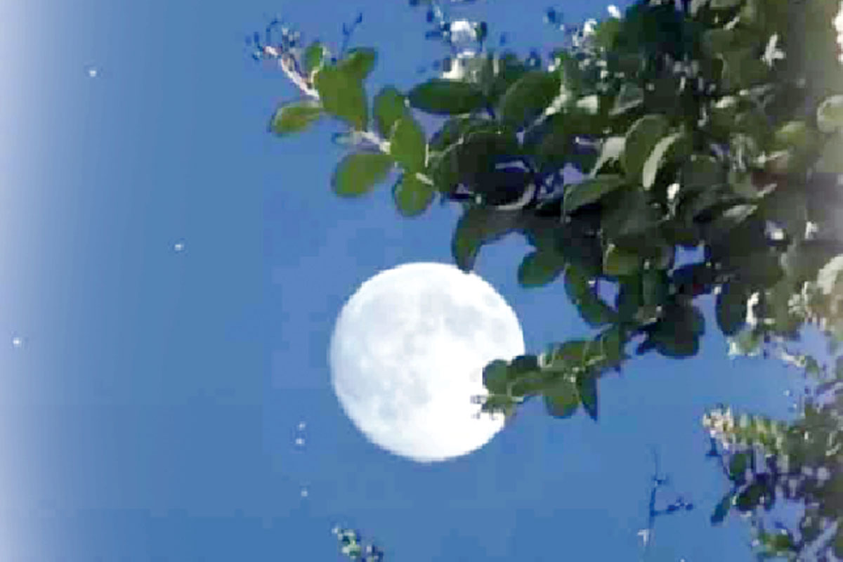 ফাল্গুনী রাতের চাঁদ