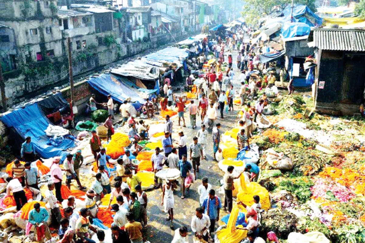 ফুলচাষ : কেবলই টিকে থাকার লড়াই