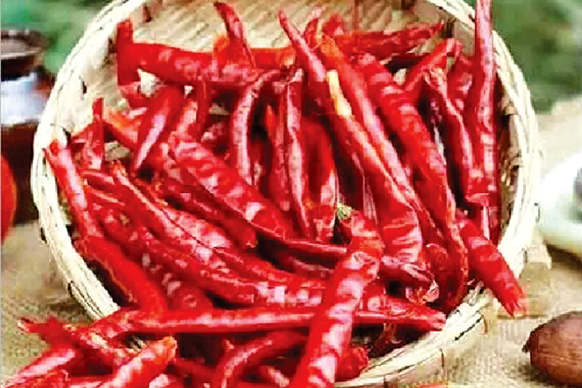 শুকনো লঙ্কায় পেটের আলসার, ভাঙুন ভুল