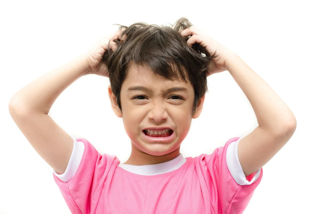 ছোট সোনার উকুন জালা  