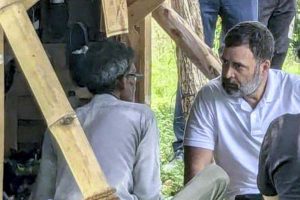 চর্মকারের কাছে জুতো সেলাই করা শিখলেন রাহুল গান্ধী, নিলেন তাঁর হাঁড়ির খবর