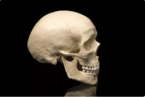 ১৫ দিন পর উদ্ধার দত্তপুকুরে খুন হওয়া যুবকের কাটা মুন্ডু