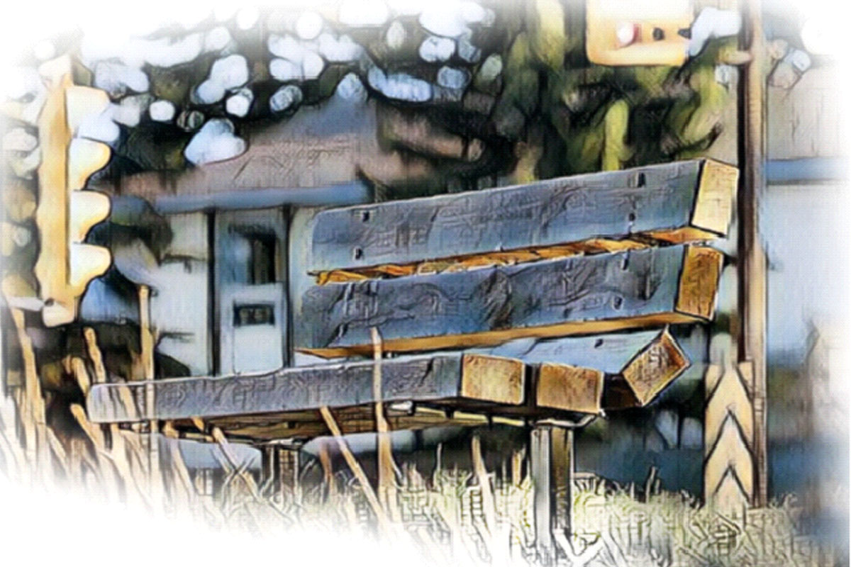 পার্কের পাশের বাড়ি