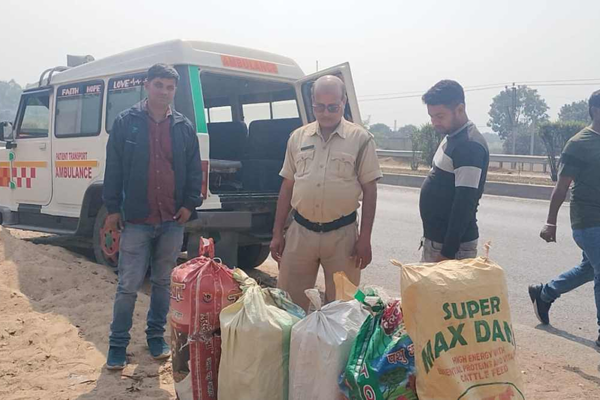 অ্যাম্বুল্যান্সে মাদক পাচারের ছক, সামশেরগঞ্জে উদ্ধার ১৪০ কেজি গাঁজা