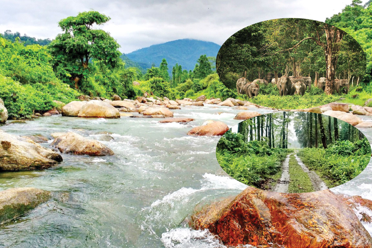 অফবিট ডুয়ার্স