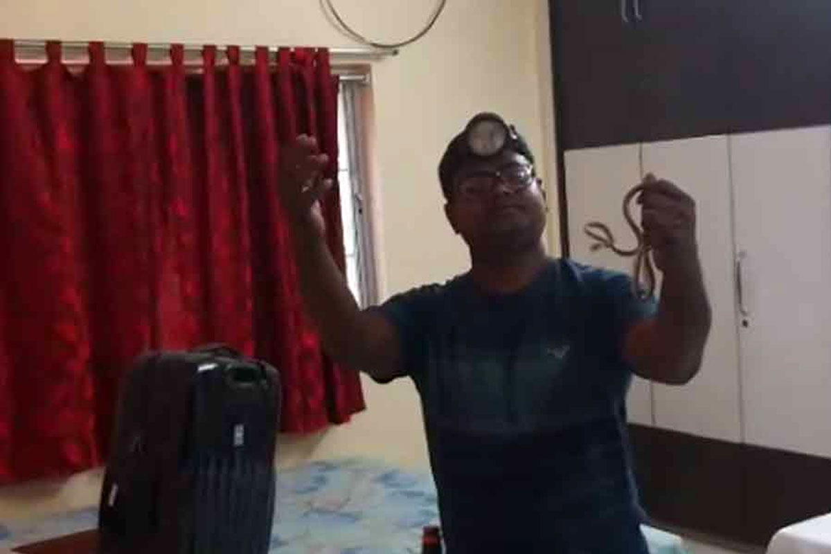 জেলা শাসকের শোবার ঘরে একাধিক সাপের উপদ্রব ঘিরে চাঞ্চল্য!