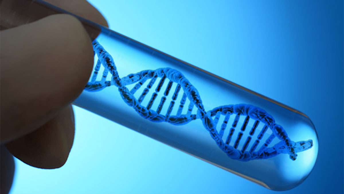 রোগ প্রতিরোধ ও আয়ু বৃদ্ধির জন্য গবেষণাগারে একক কৃত্রিম ডিএনএ তৈরির চেষ্টায় বিজ্ঞানীরা