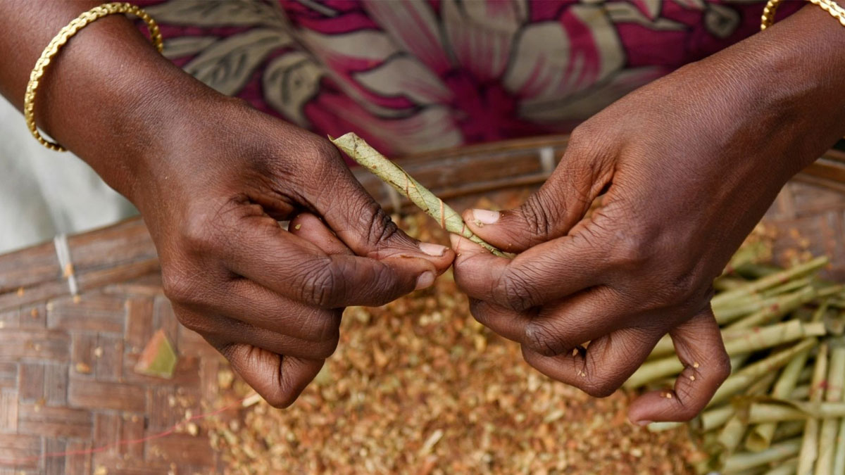 বিড়ির জিএসটি কমায় আশঙ্কা বাড়ল জনস্বাস্থ্যের
