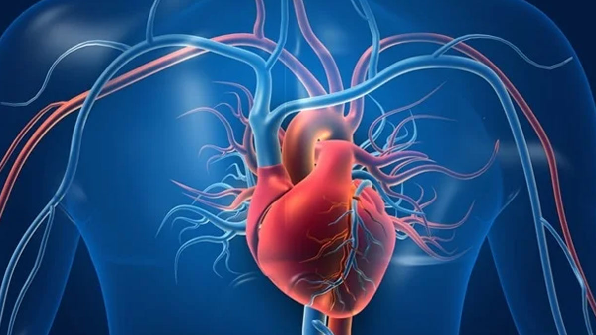 জীবন বিজ্ঞানে সাফল্য লাভ করার টিপস