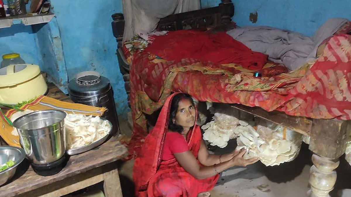 দারিদ্র্য ছিল যাঁর নিত্যসঙ্গী,  তিনিই এখন ‘মাশরুম লেডি’