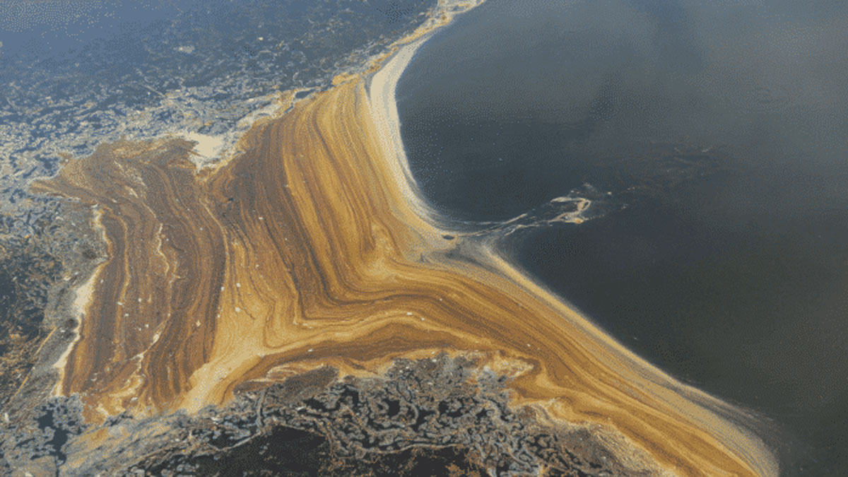 ‘তৈল দুর্যোগ’ মোকাবিলায় বড় পদক্ষেপের পথে নবান্ন