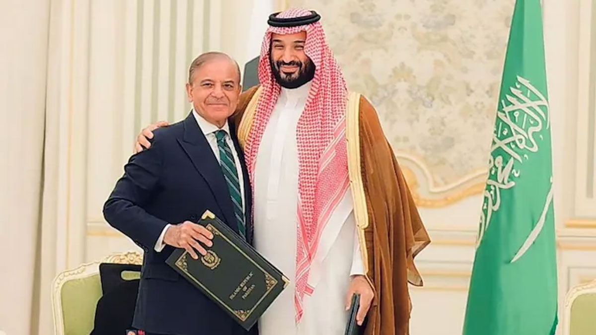 ভারতের ‘বন্ধু’ দেশের সঙ্গে প্রতিরক্ষা চুক্তি পাকিস্তানের! বিবৃতি দিল নয়াদিল্লি