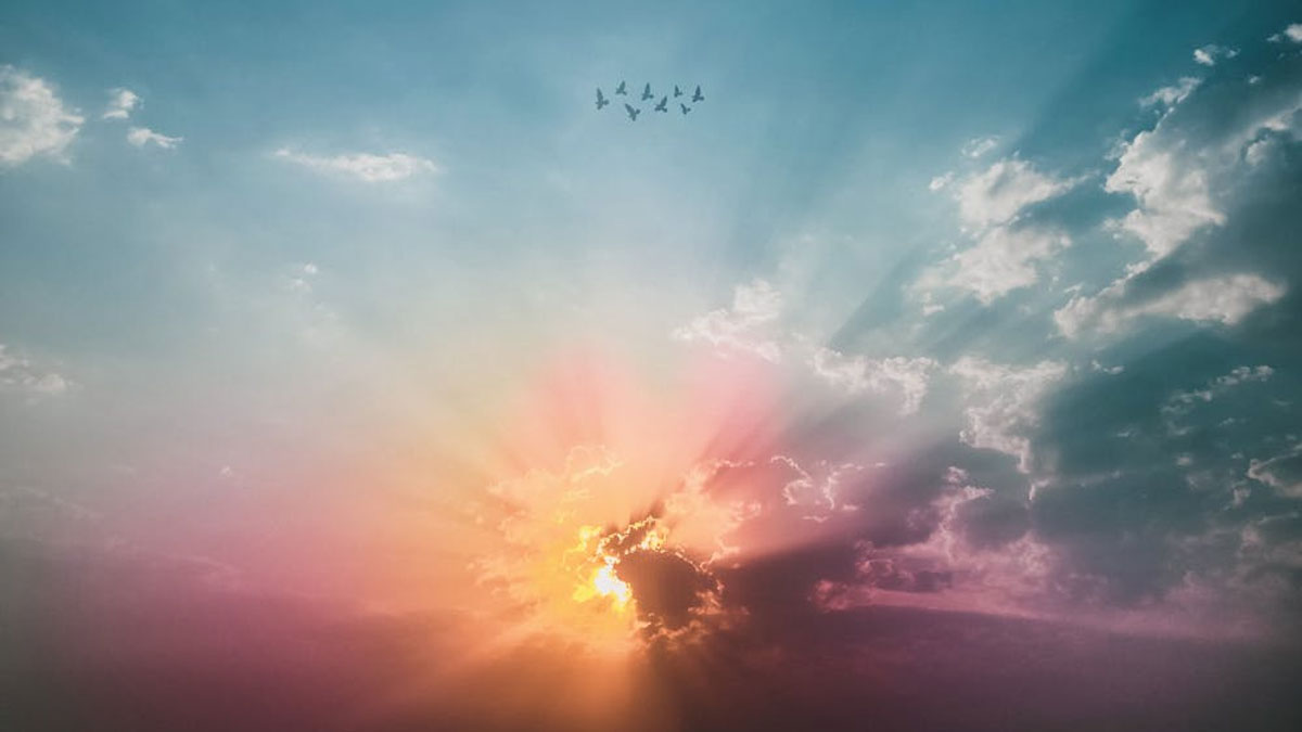 দিনের শুরুটা ভালো হোক, প্রিয়জনকে পাঠান শুভেচ্ছাবার্তা