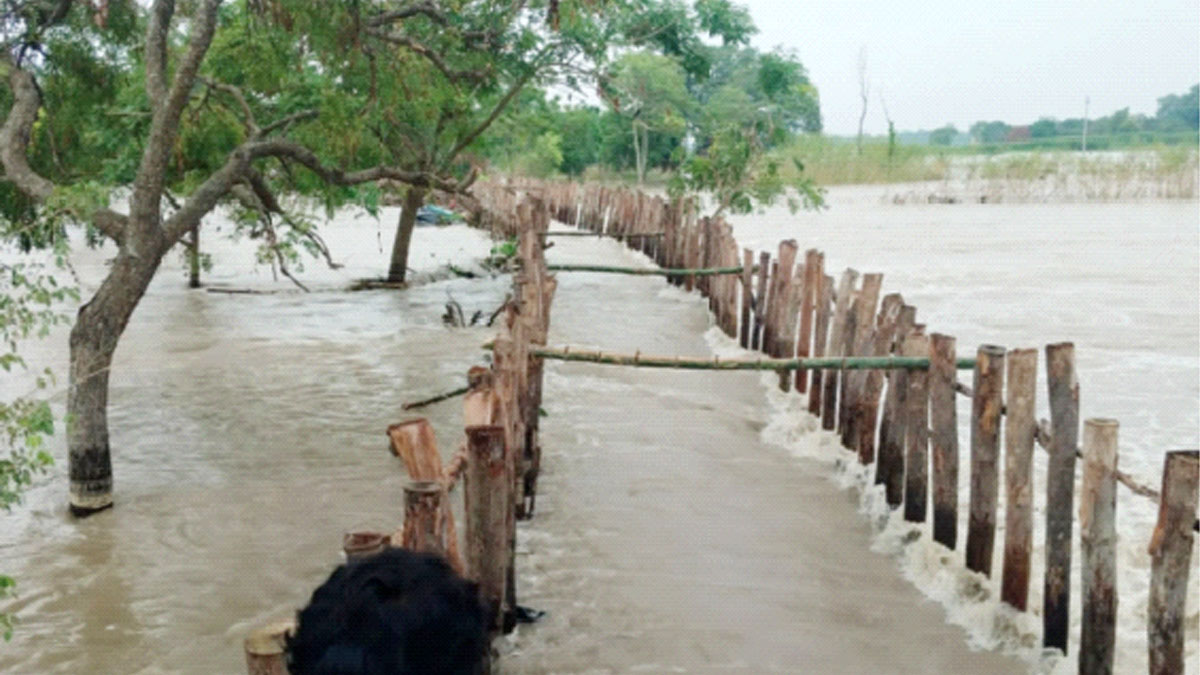 গঙ্গার বাঁধ ভেঙে বানভাসি ভূতনির চরের দেড় লক্ষ মানুষ