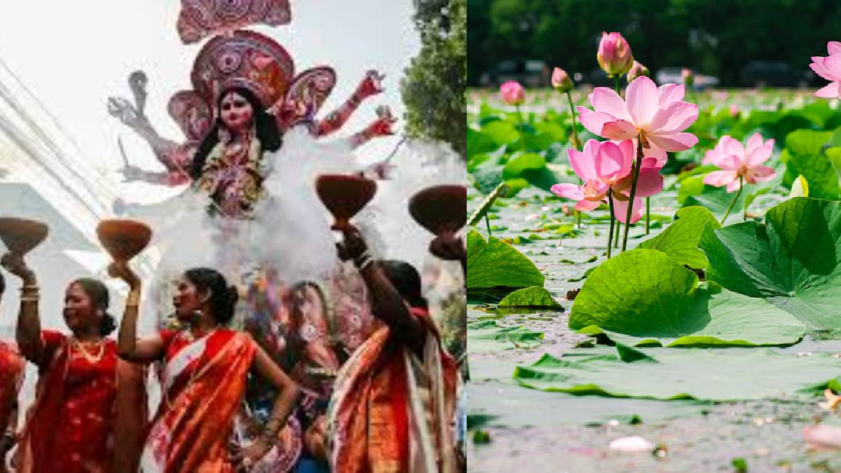 দুর্গাপুজোয় পদ্মের জোগান ভালো হলেও বৃষ্টিতে মহার্ঘ অন্যান্য ফুল