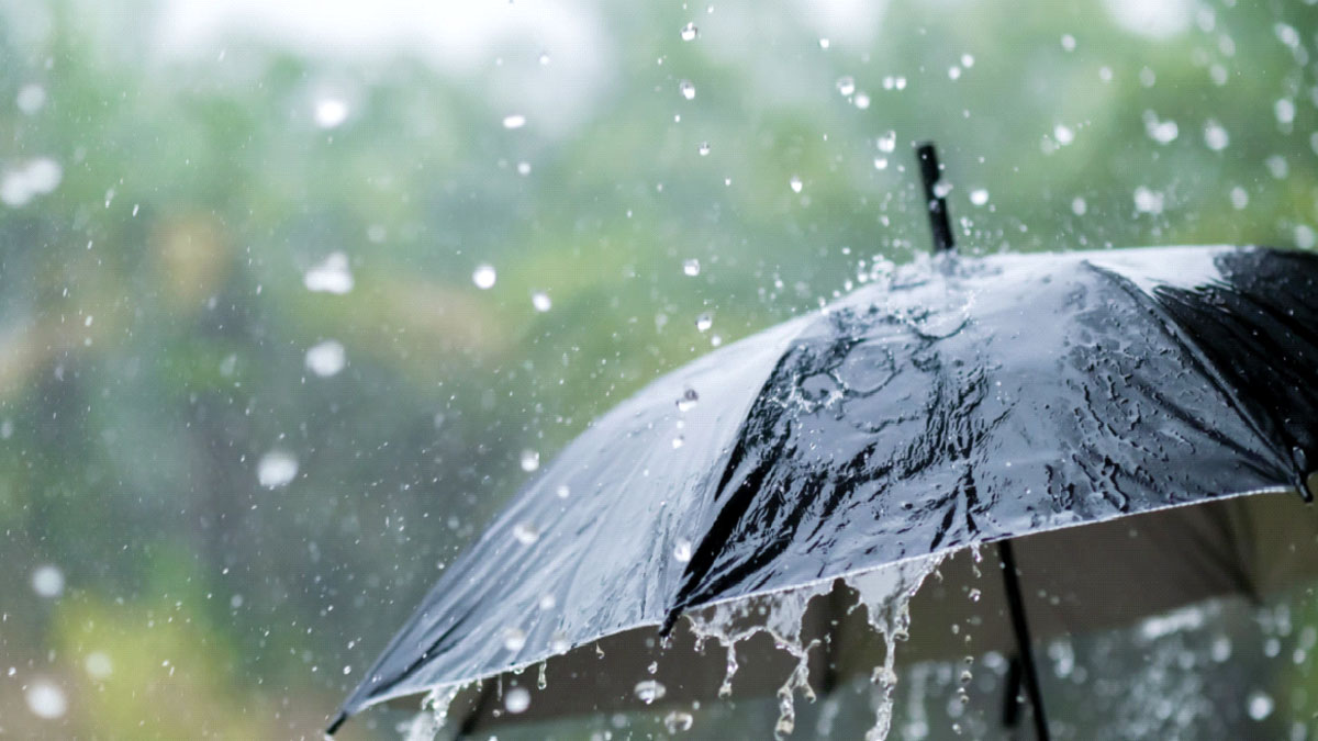 চোখ পাকাচ্ছে ‘মন্থা’, অন্ধ্রের ঝড়ে বাংলায় দুর্যোগ