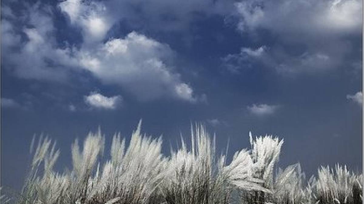 সপ্তমী-অষ্টমীতে ভারী বৃষ্টির সম্ভাবনা নেই! নবমী-দশমীতে ভারী বৃষ্টির সম্ভাবনা