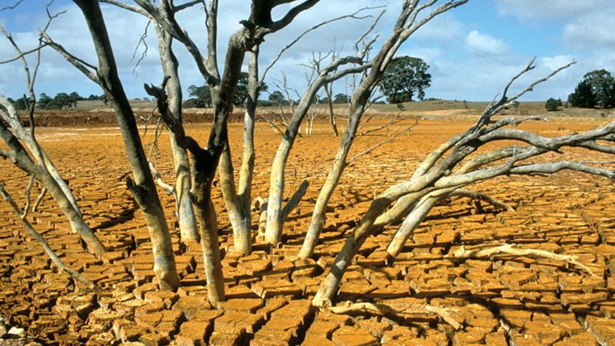 এল নিনোর কারণেই কি উত্তরবঙ্গে বিপর্যয়?