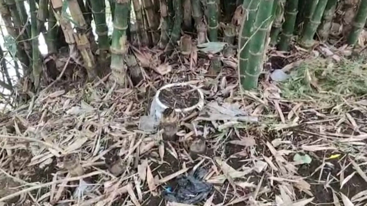 রেজিনগরে বোমা বিস্ফোরণে জখম ৩